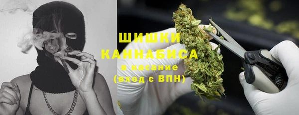 мдпв Верхний Тагил