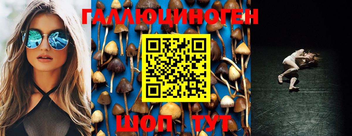 Псилоцибиновые грибы мухоморы  наркотики  Выкса  Псилоцибиновые грибы прущие грибы 